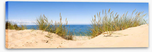 Sandgrass panorama
