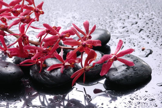 Blossoming zen