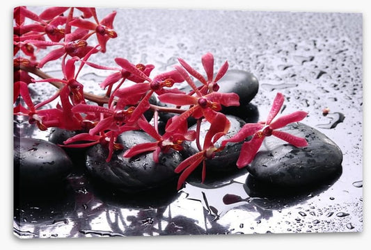 Blossoming zen