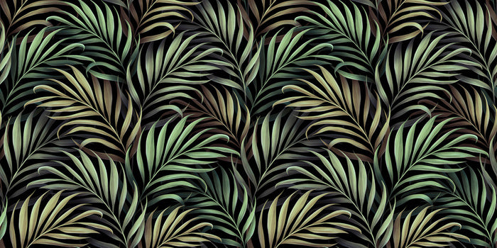 Dance of the jungle