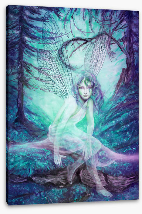 The dragonfly fairy