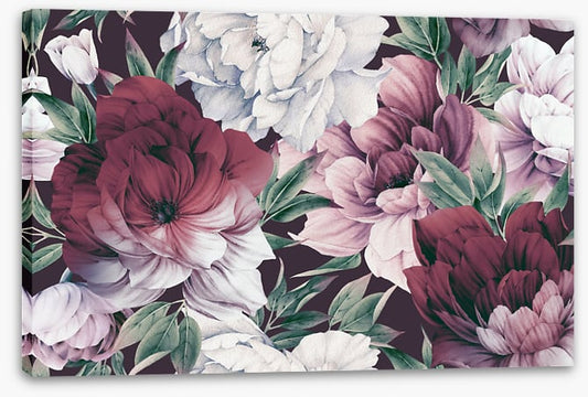 Rose peony petals