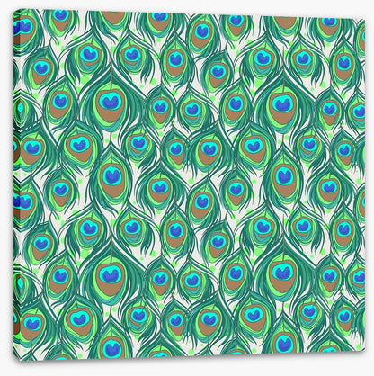 Peacock feathers