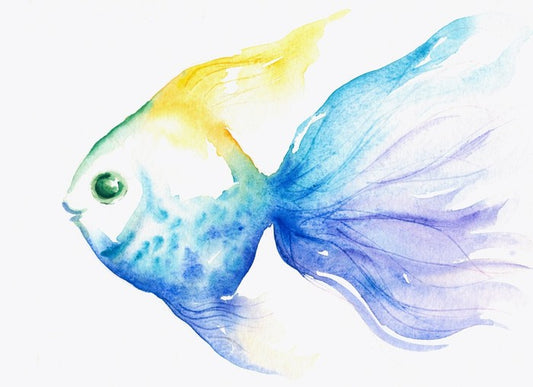The smiling fish