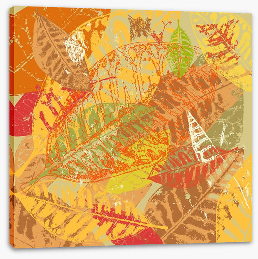 Autumn foliage