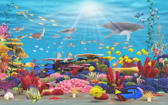 Underwater paradise