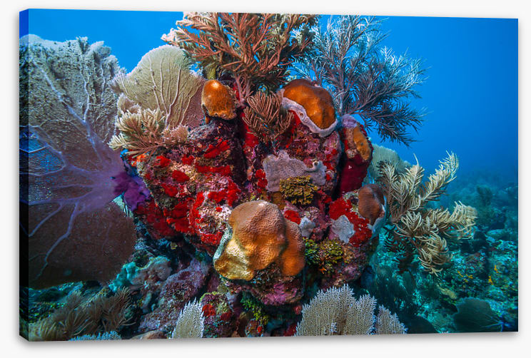 Sculpture of the sea 2