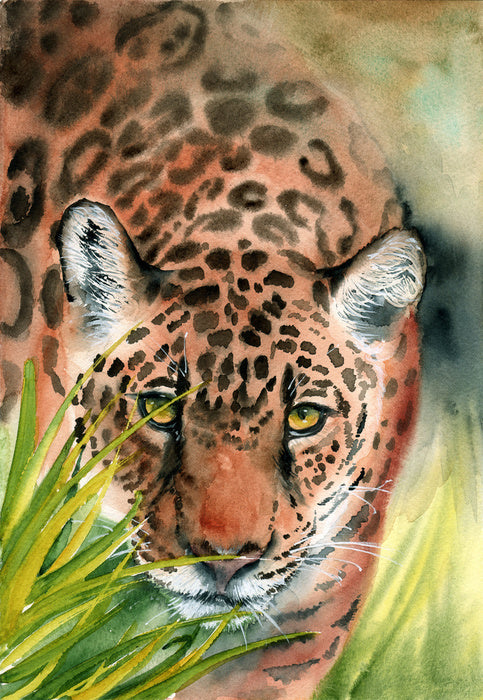 Lurking leopard