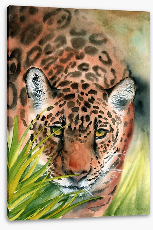 Lurking leopard