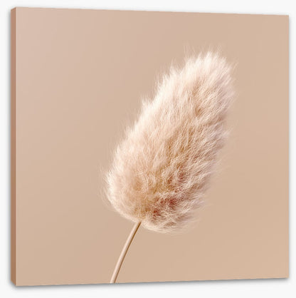 One fluffy flower