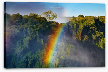Rainbows