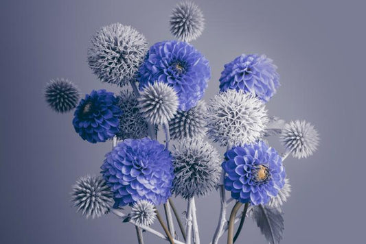 Spheres of spring