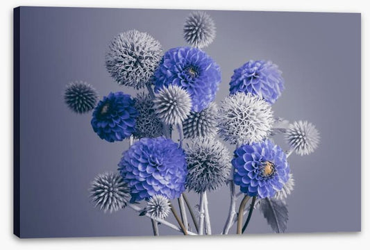 Spheres of spring