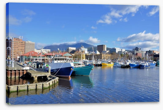 Tethered in Hobart Harbour