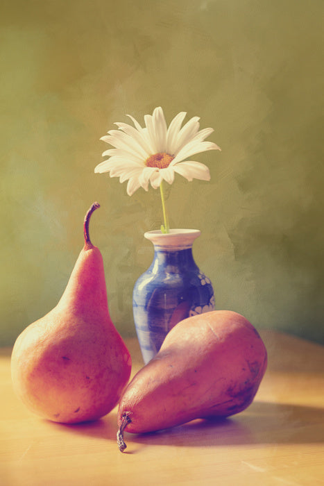 Daisy pears