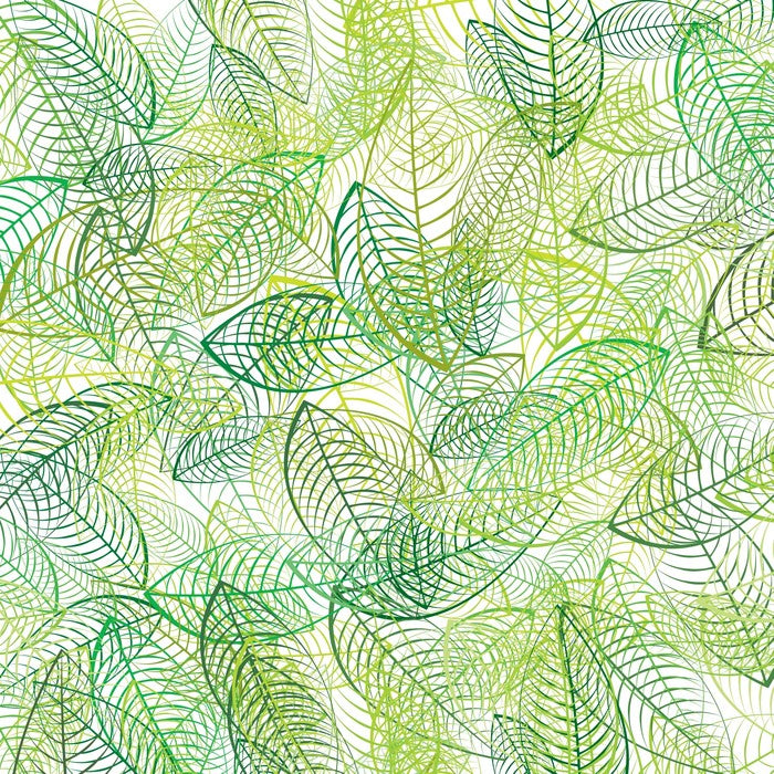Summer leaves