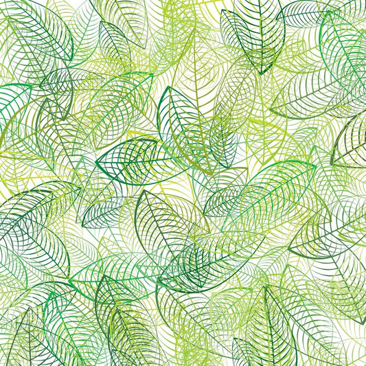 Summer leaves