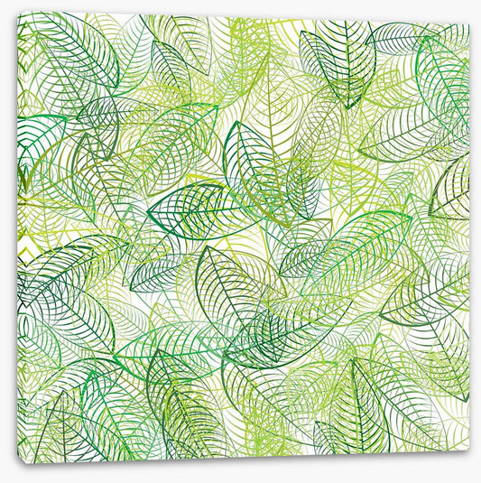 Summer leaves