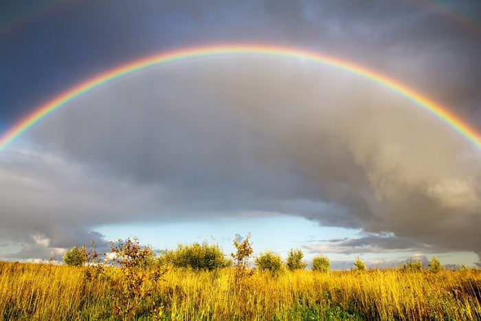 Rainbows