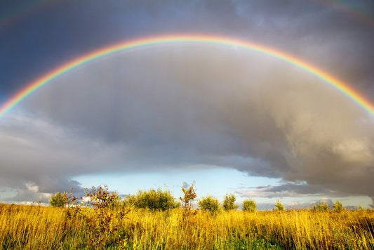 Rainbows