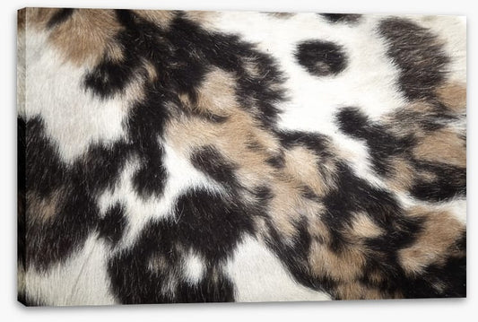 Animal Print