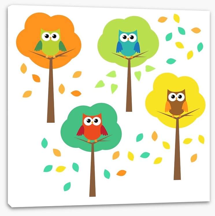 Owls
