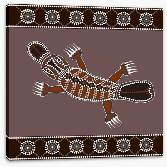 Platypus in the creek
