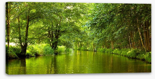 Vibrant forest river