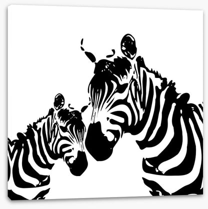 Zebra love