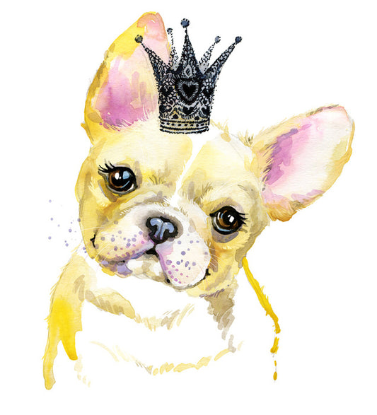 Princess pooch II