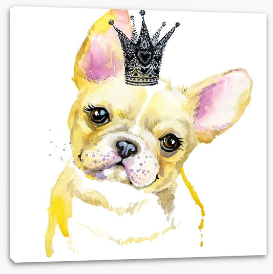 Princess pooch II