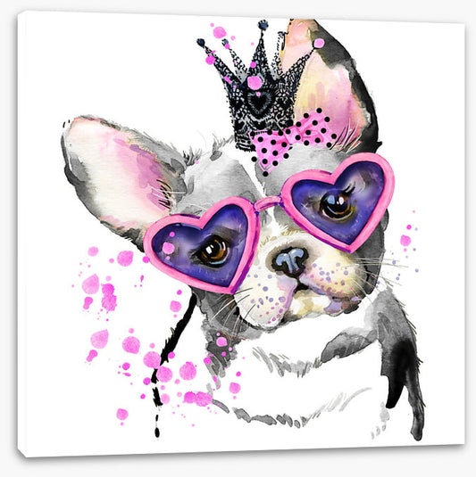Princess pooch I