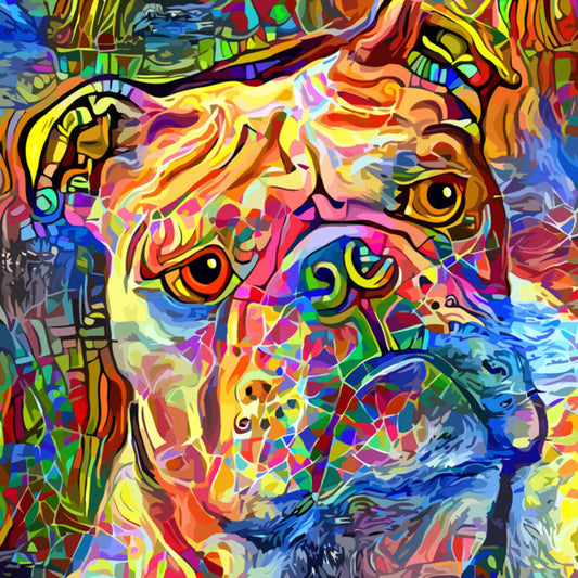 Kooky bulldog