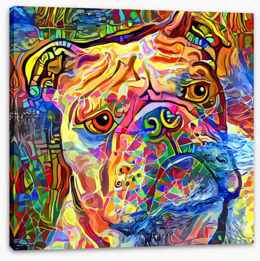 Kooky bulldog