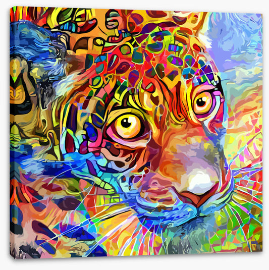 Kooky leopard