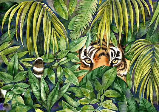 Eye spy tiger