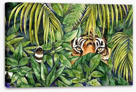 Eye spy tiger