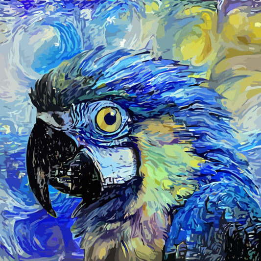 Starry night parrot