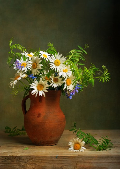 Daisies for days