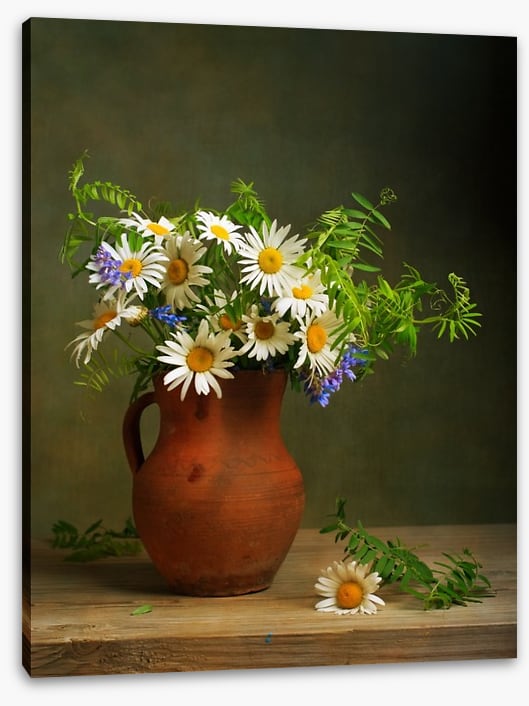 Daisies for days