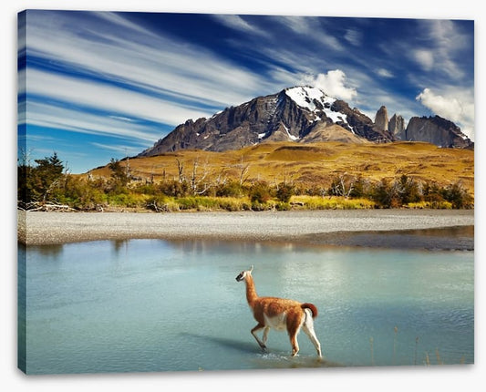 Torres del Paine National Park