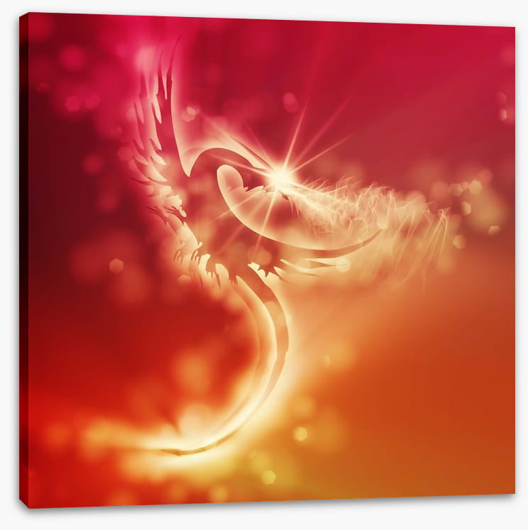 Dragon of sunlight