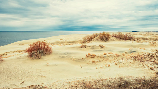 From sand to sea