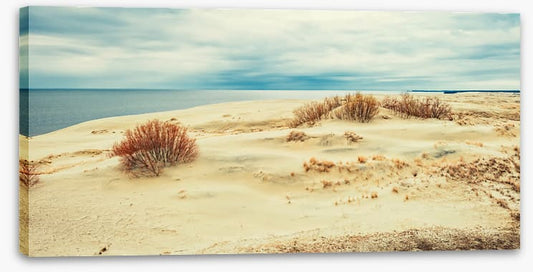 From sand to sea