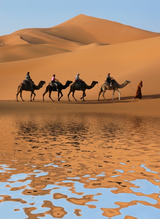 Desert