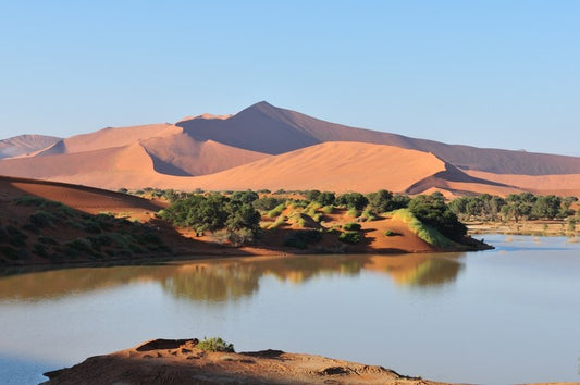 Desert