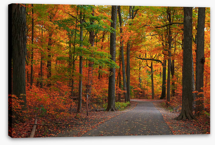 Autumn