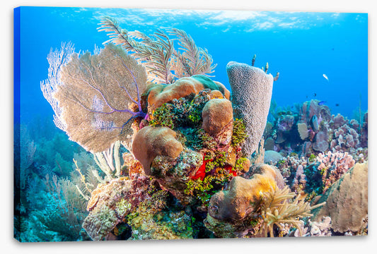 Sculpture of the sea 1