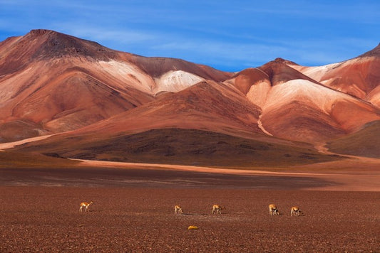 Desert
