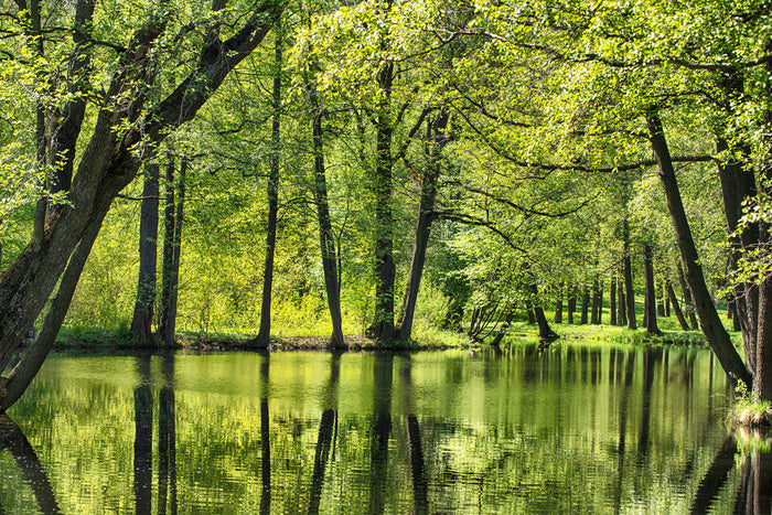 Green all over